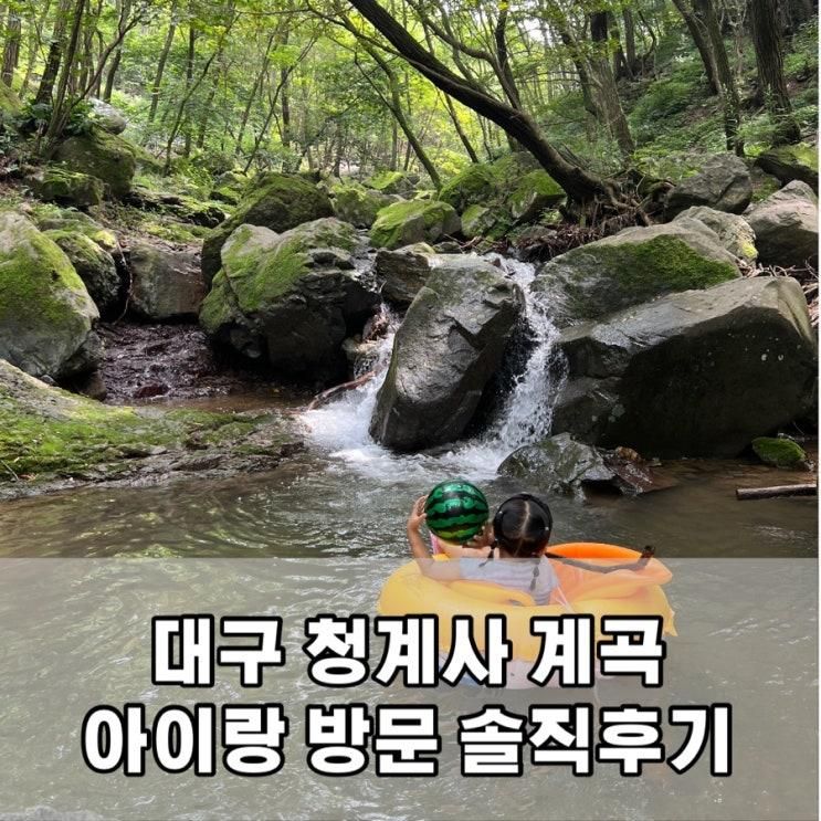 대구 청계사 계곡 주차 명소 아이랑 방문 솔직후기