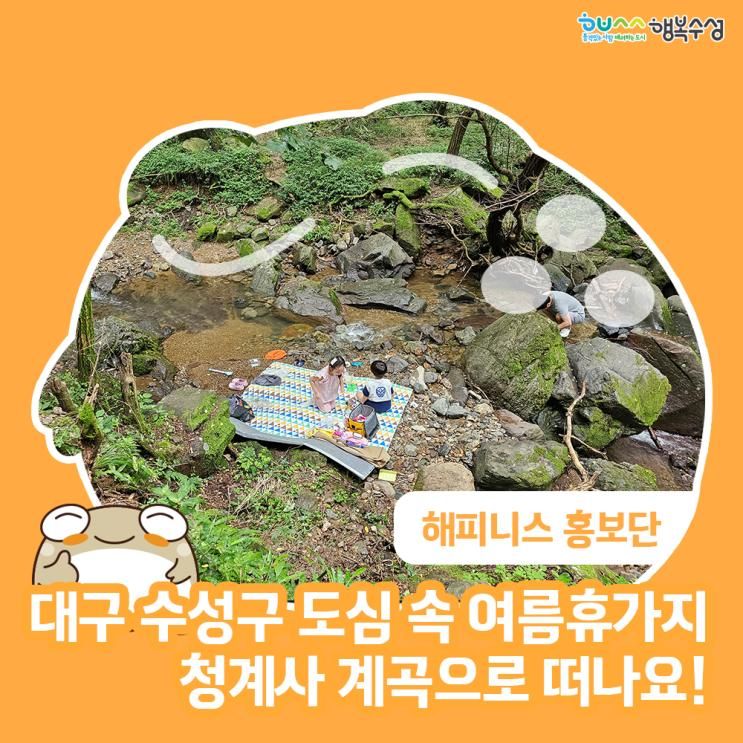 대구 수성구 도심 속 여름휴가지 청계사 계곡으로 떠나요!