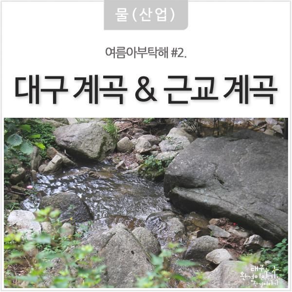 대구 계곡 & 대구 근교 계곡 - 대구 청계사, 화원자연휴양림...