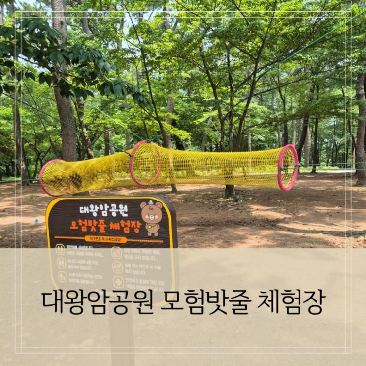 울산 아이랑 갈만한 곳 : 대왕암공원 모험밧줄 체험장