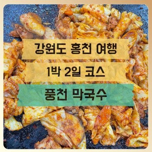 강원도 홍천 알파카월드 근처 맛집 풍천막국수 내돈내산