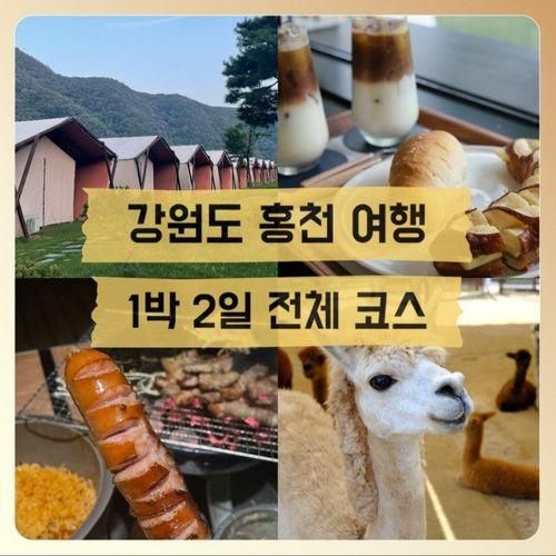 ▶[강원도 홍천] 놀러 갈만한... 카페, 알파카월드, 풍천막국수