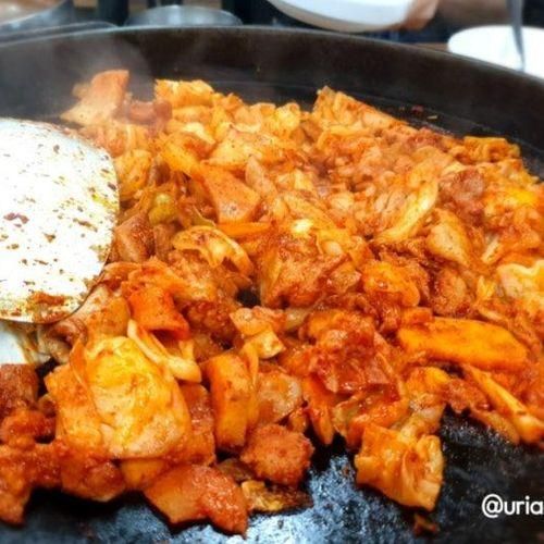 [강원도 홍천] 알파카월드 가는 길에 만난 닭갈비 맛집 (&육개장)