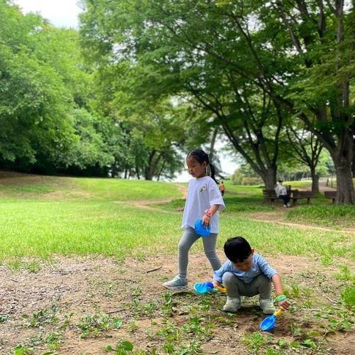 올림픽공원 피크닉장 나홀로나무 주차tip 백제어린이박물관