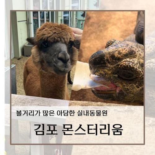 [경기 김포] 공룡이 반겨주는 아담한 실내 동물원 몬스터리움