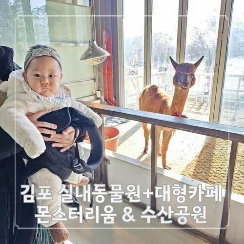김포 아기랑 실내동물원 몬스터리움 키즈카페 대형카페 수산공원