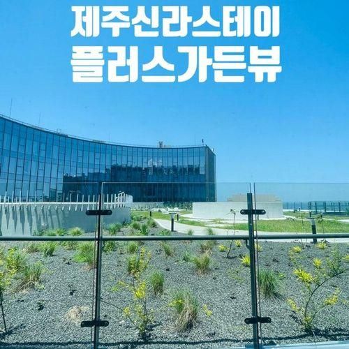 제주 신라스테이 플러스 이호테우 가든뷰 더블블룸 성큰가든