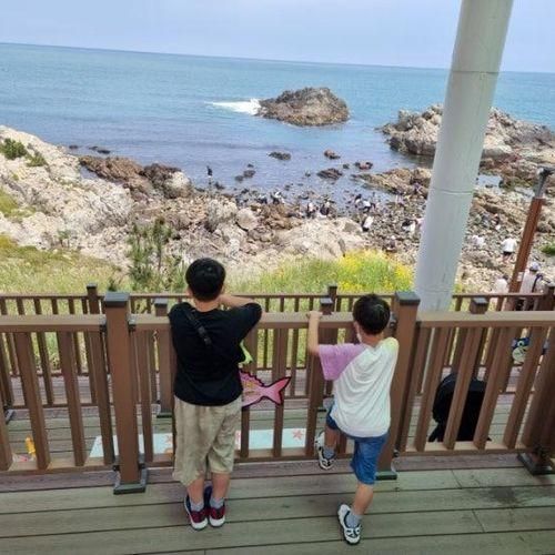 부산 기장 아이와 국립수산과학원수산과학관 무료 관람 체험 바다