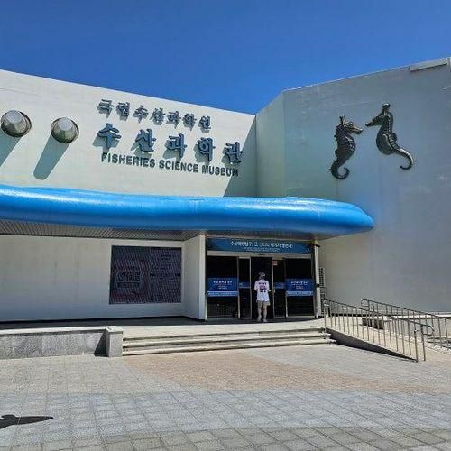 부산 기장 아이랑 갈만한 곳:)  국립수산과학원 수산과학관