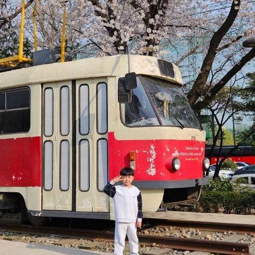 서울 아이랑 가볼만한 곳 # 화랑대 철도공원 노원 벚꽃명소 및...