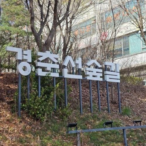서울 경춘선숲길 봄나들이 산책길 데이트 코스 화랑대 철도공원
