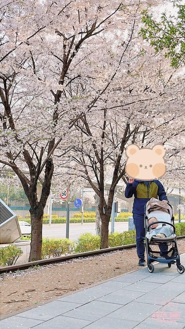 경춘선숲길 :: 292일 아기랑 화랑대 철도공원 서울 4월 꽃구경...