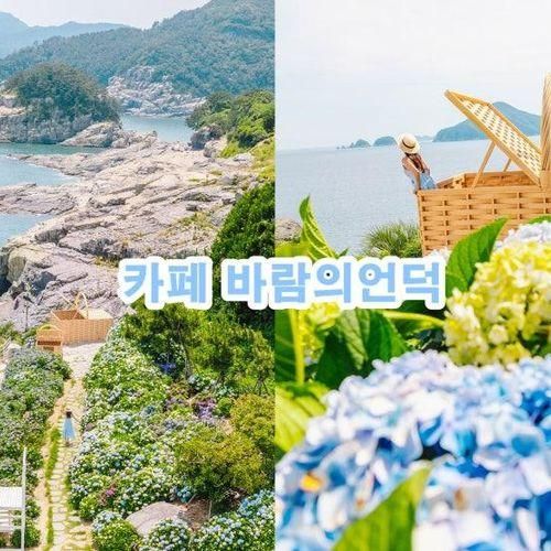 거제수국 카페 바람의 언덕 수국 브런치 거제수국축제 거제카페