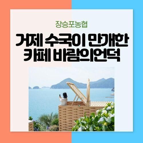 거제 수국이 만개한 카페 바람의언덕