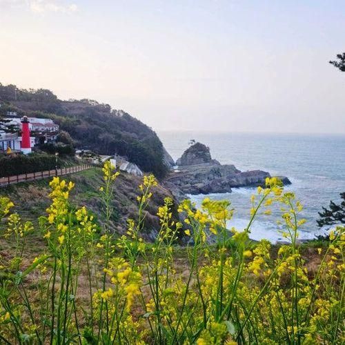 거제 여행 코스 신선대 주차 카페 바람의 언덕 등 거제도 볼거리