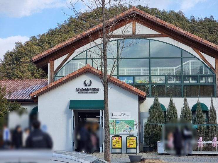 전남 아이와 담양 실내 가볼만한곳 아이랑 담양곤충박물관 뽕뽑기