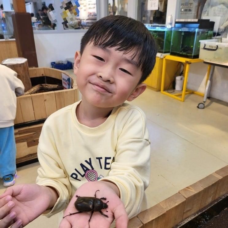 비오는날담양여행 2박3일 아이랑곤충박물관