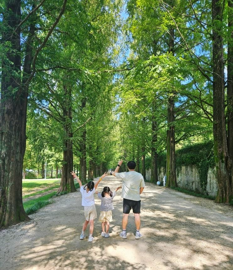 광주 근교 전남 담양 곤충박물관에 다녀왔어요 (담양...