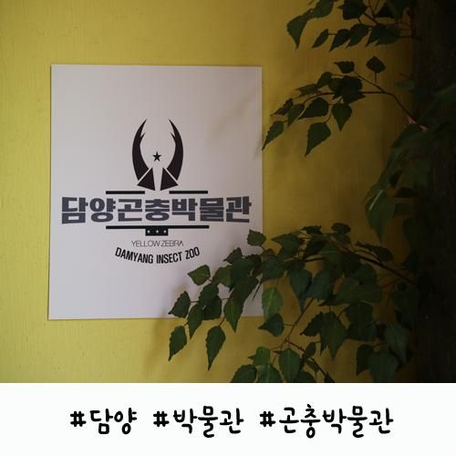 담양 곤충 박물관 놀러 가자