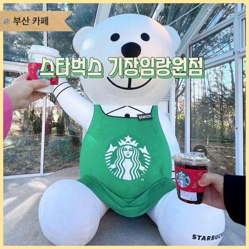 스타벅스 대형 곰 포토존 있는 곳 ! 부산 기장임랑원점...