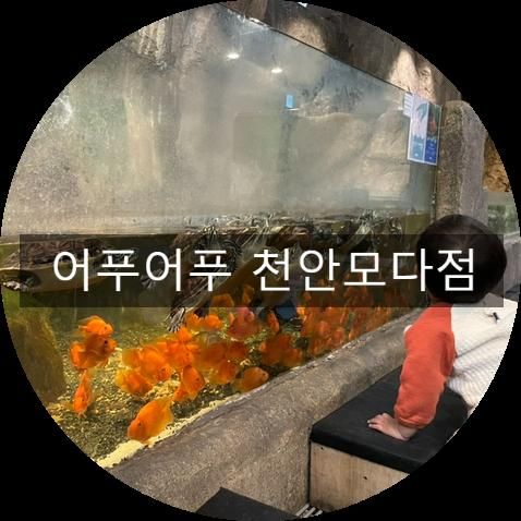 천안 파충류 볼 수 있는 어푸어푸 천안모다아울렛점