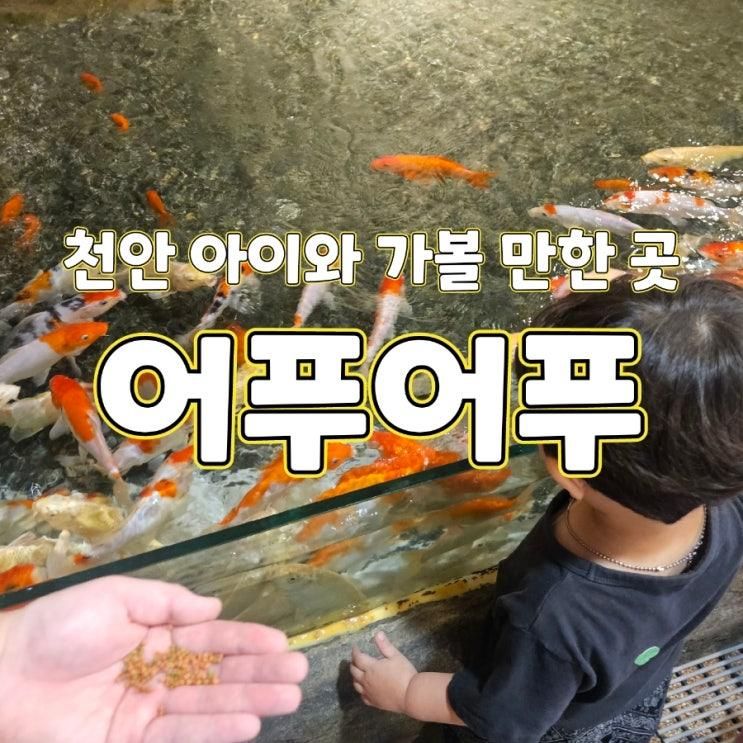 천안 실내 아이와 가볼 만한 곳, 어푸어푸 천안모다아울렛점...