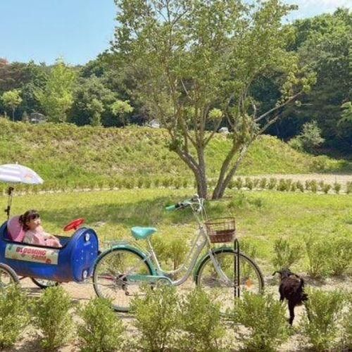 경기도 포천 블루밍팜 농장체험 모래놀이 아기랑 가볼만한 곳