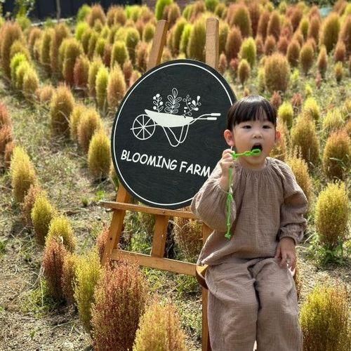 [경기 포천] 아이와가볼만한곳 체험형 농장 블루밍팜