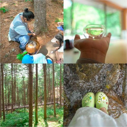 서울근교 당일치기 아이랑 갈만한 곳 동두천 자연휴양림 숲 체험