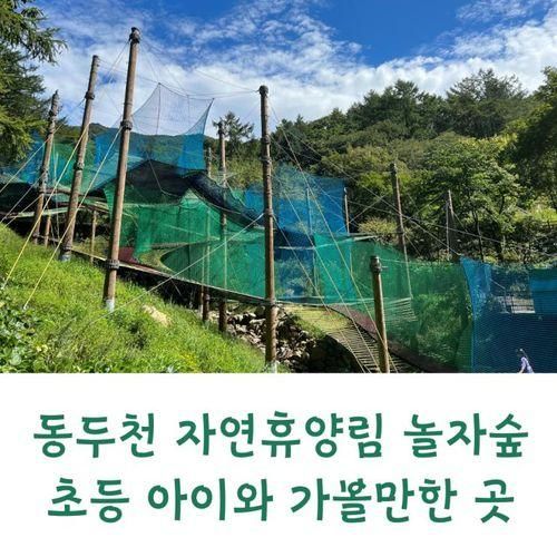 가족나들이 동두천 자연휴양림 놀자숲 서울근교 초등 아이와...