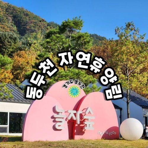 동두천자연휴양림&놀자숲 할인,식당 /아이와 가볼만한 곳(ft....