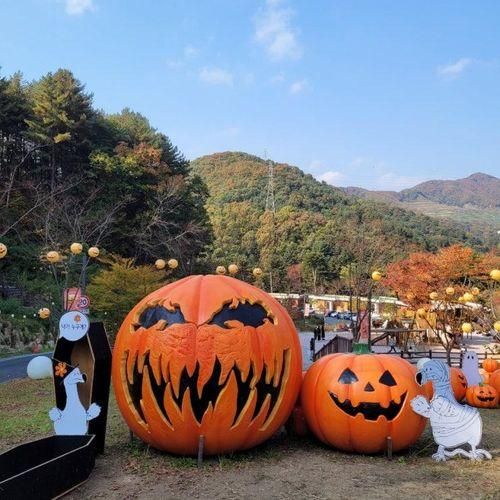 할로윈데이 가볼만한 곳, 경기도 동두천 자연휴양림 놀자숲