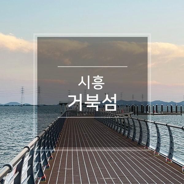 여행주간 시흥 거북섬 경관브릿지 + 본다빈치뮤지엄 시화