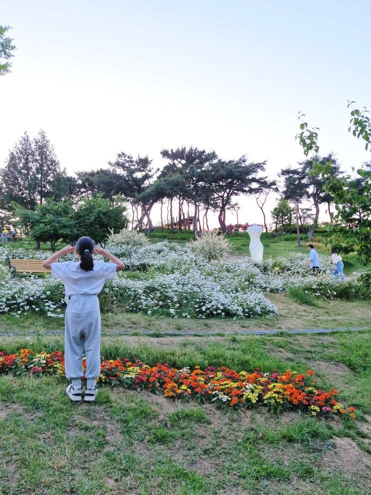 대구 이현공원  봄날 꽃놀이 가볼만한 곳(ft.숲속열린음악회)