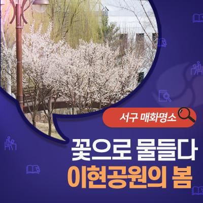 대구 가볼만한곳 / 봄으로 물들고 있는 대구 서구 명소 이현공원...