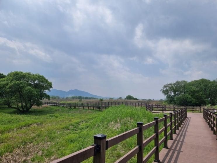 강창교에서 사문진 나루터까지 도보