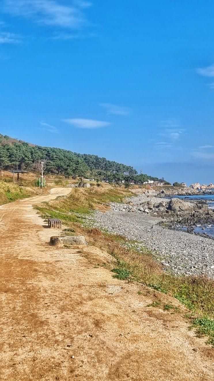 울산가볼만한곳 아이랑 아름다운 자연환경 바닷가 산책길 슬도...