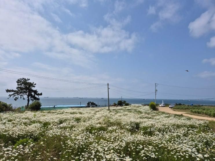 [울산여행] 걸으면서 즐기는 슬도, 슬도아트, 성끝마을...