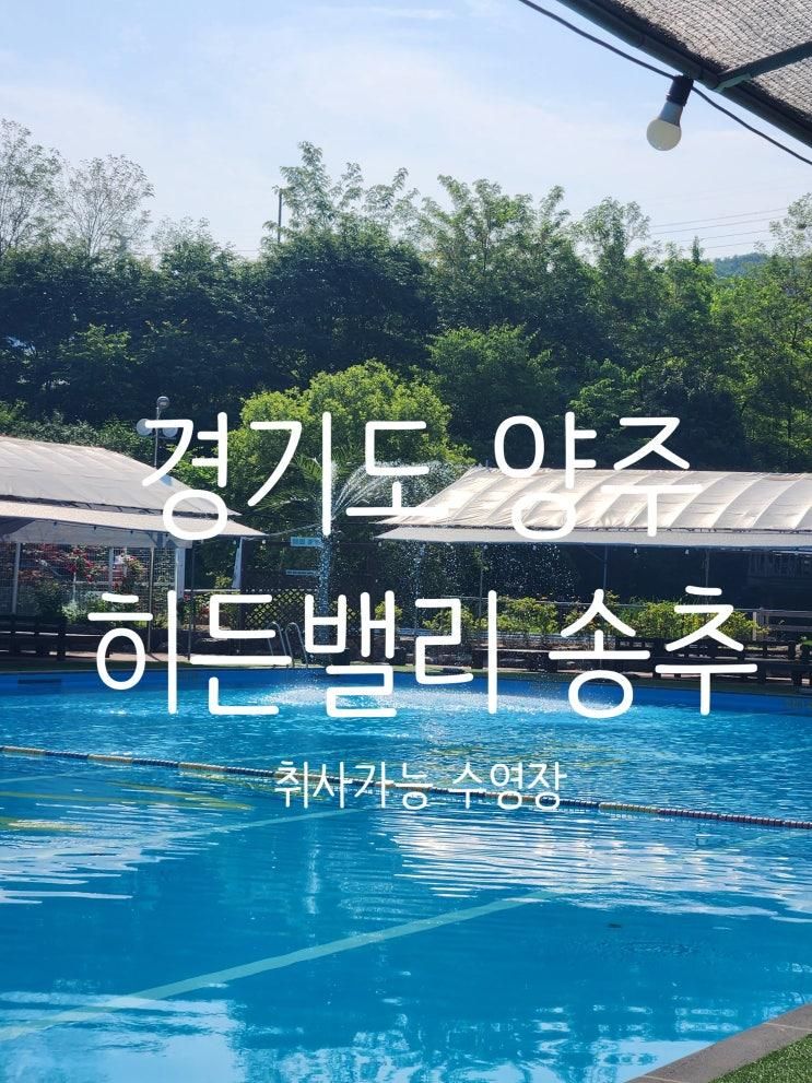[경기도 양주/송추] 올해 오픈... 가능한 수영장_히든밸리송추