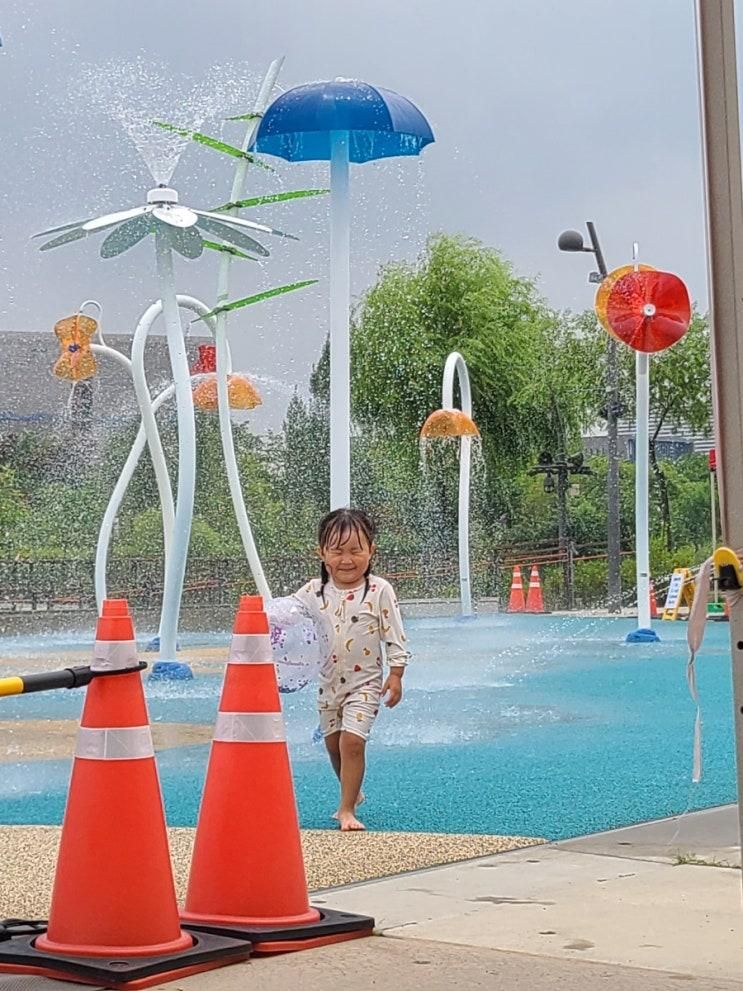 [서울 강서구 아이랑] 마곡 서울식물원 : 물놀이터, 빛이 깨울...