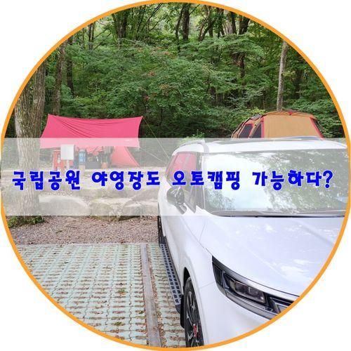 가야산 캠핑장 찾다가 국립공원 야영장 예약하고 오토캠핑 가능?