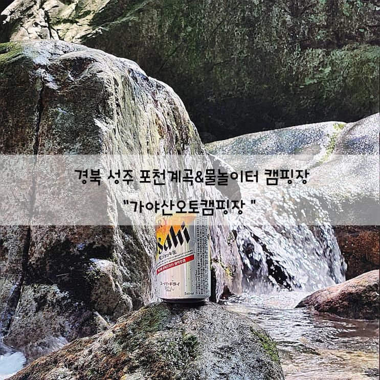 ★가야산오토캠핑장★성주몰놀이터/경북포천계곡...