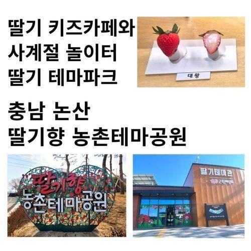 딸기 키즈카페와... 하루 종일 놀 수 있는 딸기향농촌테마공원