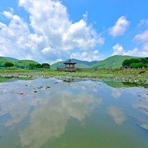 고성 가볼만한곳 상리연꽃공원 수련 예쁘게 피네요 & 경남 6월...