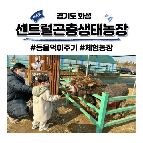 화성 센트럴곤충생태농장 주말 이용 후기