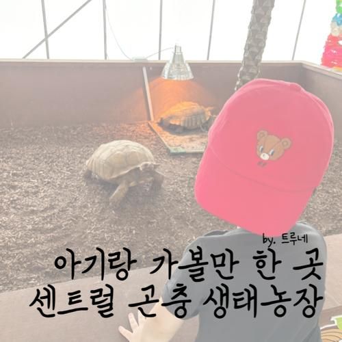 경기도 아기와 가볼만 한 곳:: 센트럴곤충생태농장