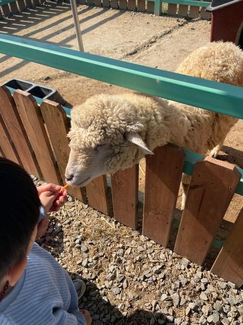 27개월 아이 화성 센트럴곤충생태농장 홀릭