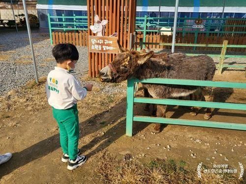 화성 센트럴곤충생태농장 동물 먹이주기, 생태수업이 알차던 곳