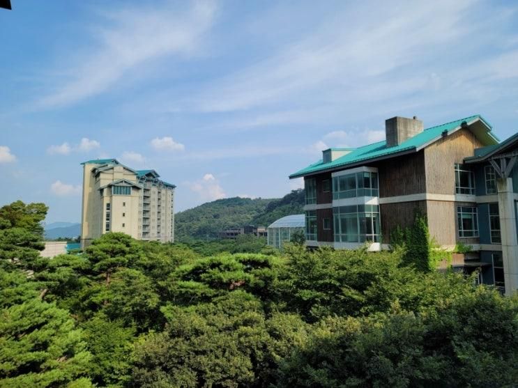 아이랑 곤지암 리조트 여행... 어린이놀이터, 루지360, BBQ
