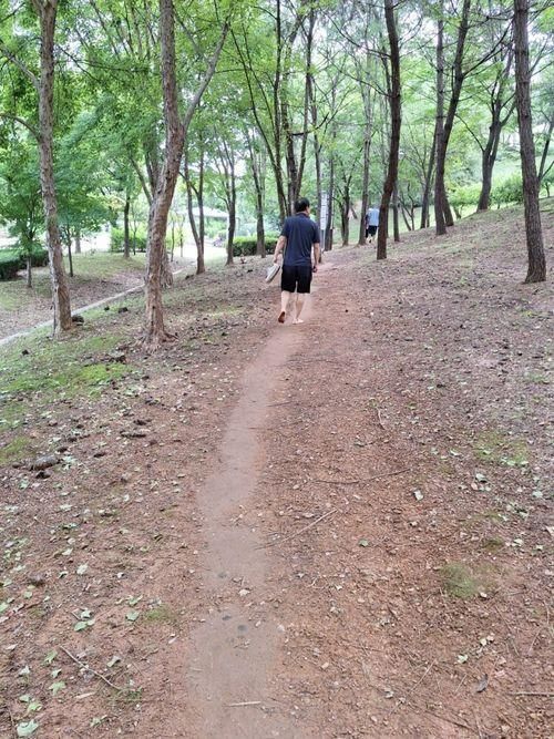 안산 민속공원 맨발걷기